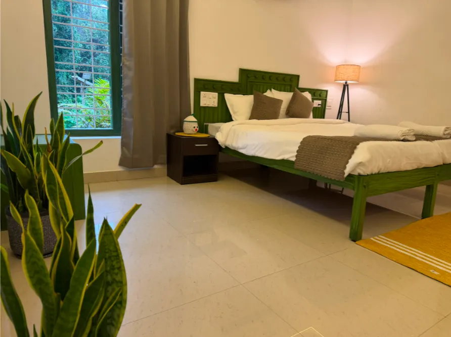 Hasu room